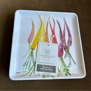 Farmhouse by Rachel Ashwell melamine Appetizer plates Easter spring set of 6